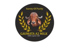 Gaumata A2 Milk- The promise of purity Being the rich source of Nutrition Gaumata A2 Milk- The promise of purity Being the rich source of Nutrition