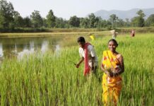 BALCO transforming the lives of farmers in the vicinity