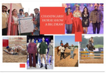 The Ranch’ organizes a highly successful Homeland Chandigarh Horse Show