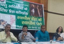 The voiceless animals should have equal rights to live like humans because every life matters