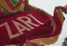 Zari Jaipur’s “Celebrating Timeless Traditions” Campaign showcases India’s Cultural Heritage with exquisite craftsmanship
