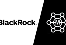 BlackRock’s Monumental Investment in Minati Token and MinatiVerse: A Game-Changer for the Minati Community