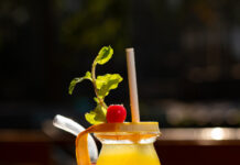 The Lazy Turtle’s Mixology Magic: Crafting Cocktails, One Lazy Sip at a Time