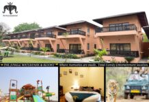 Discovering Wilderness Luxury: The Pench International Resort