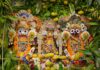 ISKCON Dwarka to Host Mango Festival on July 7