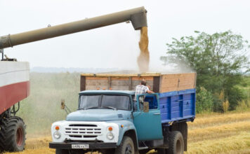 Best Mini Trucks in India for Small Businesses: A Quick Analysis 91trucks, Best Mini Trucks in India, Top Mini Trucks in India,