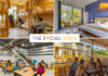 The Social Stays: From Shark Tank Spotlight to India’s Most Vibrant Hostel Brand