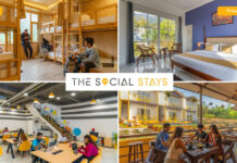 The Social Stays: From Shark Tank Spotlight to India’s Most Vibrant Hostel Brand