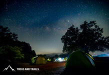 Treks and Trails Lights Up Maharashtra with Fireflies Festival 2025: A Journey into Nature, Community, and Conservation