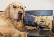 Mars Grumpy – Winner of the 21st Century Emily Dickinson Award