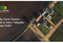 Why Farm Natura Soil Is More Valuable Than Gold