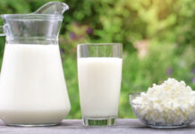 Arna Dairy Farm Private Limited: Nurturing Generations of Dairy Excellence in Bangalore