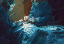 Five Years of Excellence: How Tara Healthcare is Redefining Plastic Surgery in Bangalore