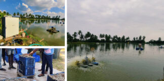 Restoring Water Bodies Sustainably with Prasinos Nanobubble Technology