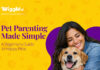 Pet Parenting Made Simple: A Beginner’s Guide to Happy Pets