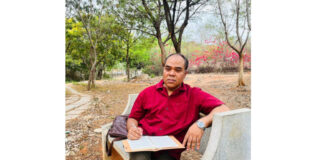 The Journey Behind My Words: When Life Slows Down Enough to Speak Back