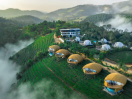 Monticle Glamps- Vagamon’s Top Resort Earns highest Guest Ratings as Kerala’s Premier Luxury Glamping Destination
