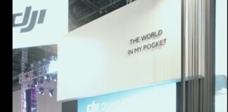 Three days inside Pocket Playground