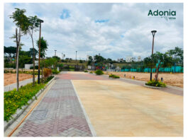 Vega Group Launches Vega Adonia in Mysuru, Bringing Premium, Low-Density Plotted Living to Vijayanagar