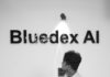 From a Single Room to a 50+ Member LegalTech Startup: Inside BLUEDEX’s Growth Story